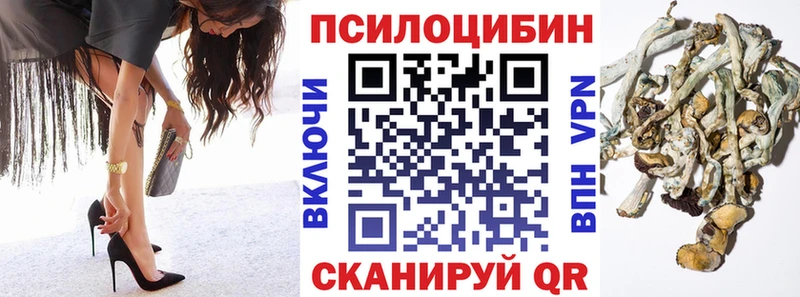 купить наркотик Макарьев Псилоцибиновые грибы GOLDEN TEACHER